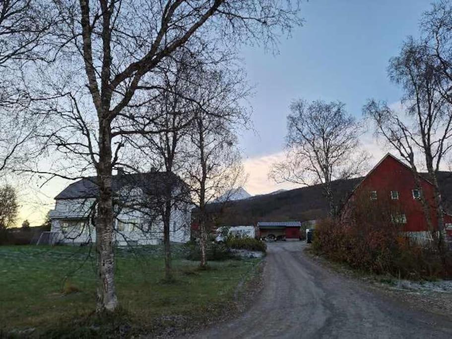 Farmroom With Sauna And Aurora Narvik Eksteriør bilde