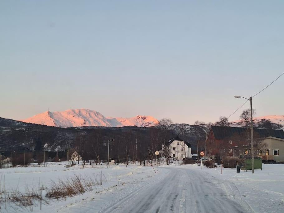 Farmroom With Sauna And Aurora Narvik Eksteriør bilde