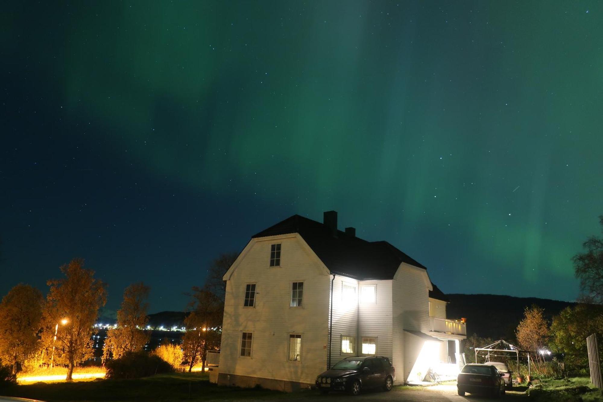 Farmroom With Sauna And Aurora Narvik Eksteriør bilde